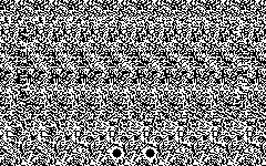 A single-image random-dot stereogram with a hidden shape