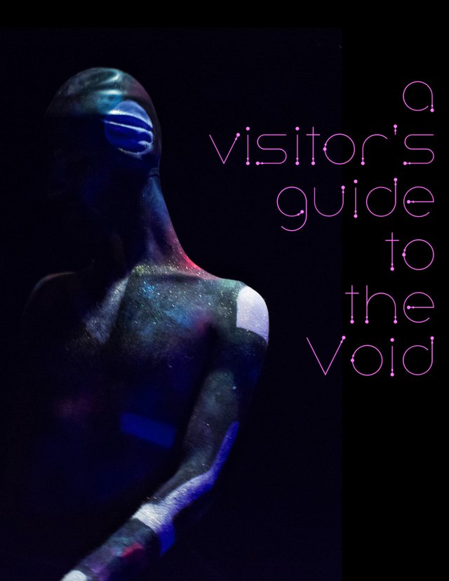 A Visitor&rsquo;s Guide to the Void, cover